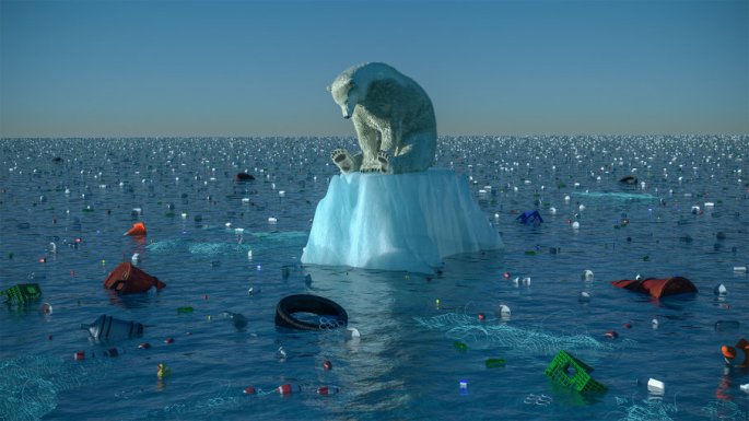 climate-change-bear